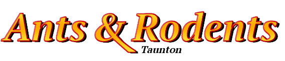 Taunton Ant Exterminator & Rodent Control Company Logo